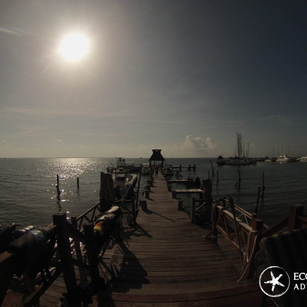 DCIM100GOPRO