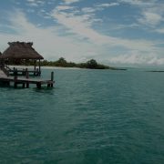 Private Tours Cancun. Private Tours Playa del Carmen