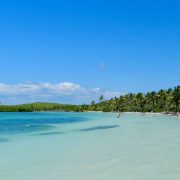 Cancun Whale Shark Tour Riviera Maya Turtles Cenotes Tours