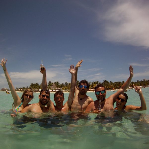 whale shark tour