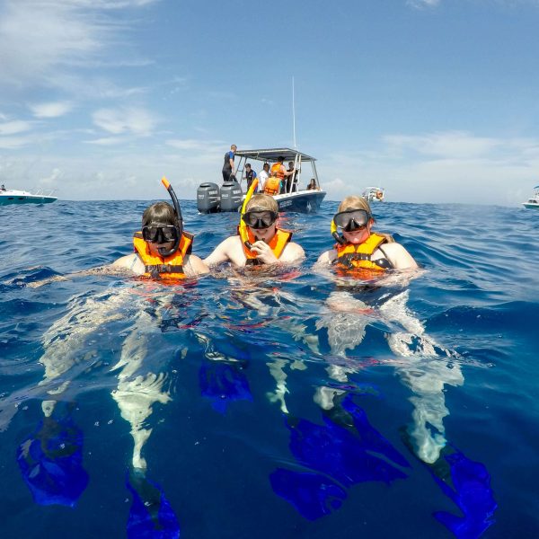 whale watching in cancun mexico