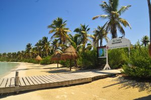 Isla Contoy Eco Tour