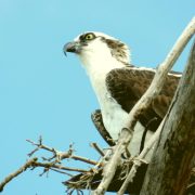 Private Tours Cancun. Private Tours Playa del Carmen