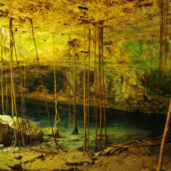 TORTUGAS Y CENOTES