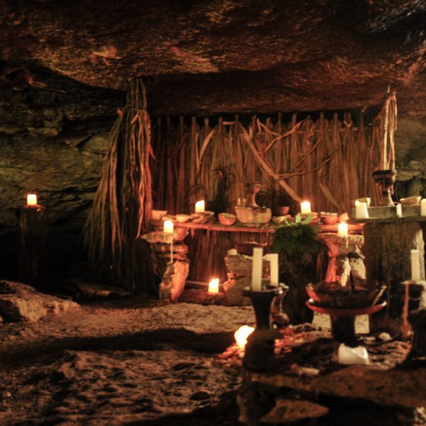 CENOTES Y TORTUGAS