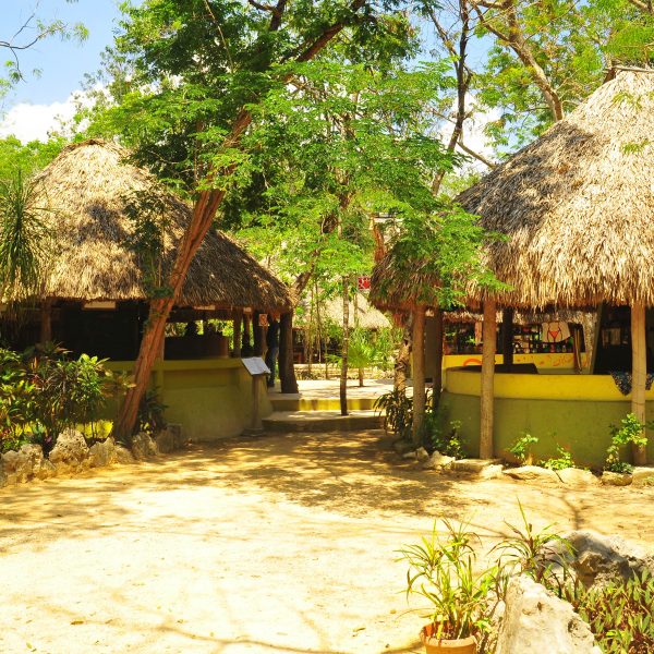 TORTUGAS Y CENOTES