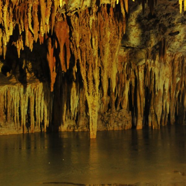 TORTUGAS Y CENOTES