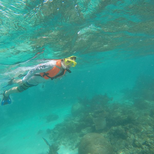 tortugas y cenotes adventure