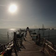 Private Whale sharks