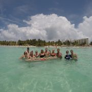 Private Whale sharks